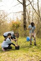 Group of activists planting small trees for nature preservation, helping with sustainability and ecosystem conservation. Volunteers joining hands for environmental care, digging holes for seeds. photo