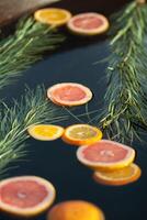 Citrus slices with coniferous branches in water photo