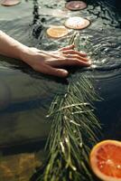 A hand splashes in a fragrant vat of citrus photo