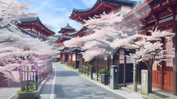 Japanese temple with beauty cherry blossom in background video