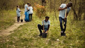 africano americano voluntarios equipo excavación agujeros y plantando arboles en un bosque, haciendo camada limpiar y poniendo plántulas en el suelo para naturaleza cultivo concepto. conservación proyecto. cámara b. foto