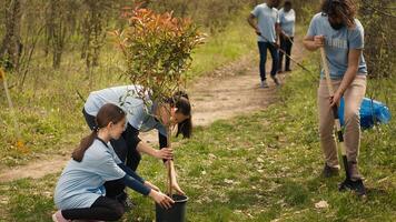 Team of volunteers growing the natural habitat in a forest, planting trees and preserving nature by taking action and fighting to save the planet. Activists doing community service. Camera A. photo