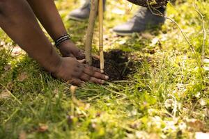 hombre y mujer voluntarios cubierta agujero por plantando un árbol en el bosque, contribuyendo a el conservación proyecto. equipo de voluntarios haciendo comunidad Servicio a salvar el planeta. cerca arriba. foto