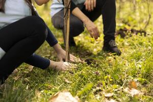 pequeño niña activista cubierta agujeros después plantando un pequeño árbol, siendo apasionado acerca de conservación proyecto. niño trabajar como voluntario a ayuda natural ambiente, creciente bosque vegetación. cerca arriba. foto