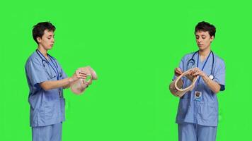 Specialist presenting cervical neck collar used for physical therapy and trauma after an accident or fracture, greenscreen backdrop. Nurse shows orthopedics brace to help with spine injury. Camera B. photo