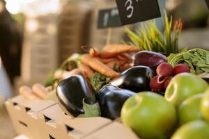 Freshly harvested carrots, eggplants, apples and radish displayed on farmers market stand. Close up of locally grown bio vegetables in cardboard boxes at eco friendly farm produce stand. photo