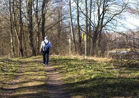 People enjoying sunny day out in the park. Outdoors photo