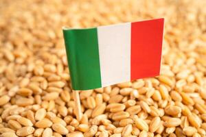 Grains wheat with Italy flag, trade export and economy. photo