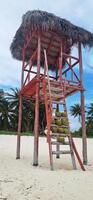 Coconuts on the steps of the watchtower of the beach. Tropical photo