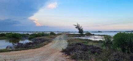 Pink lake in Cuba, Cayo Coco island. It has its color because of the plankton. Nature photo