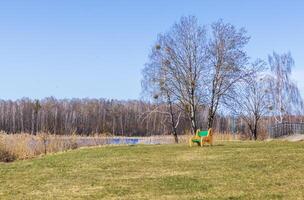 Landscape shot of the pond in the park. Outdoors photo