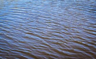 Concept shot of the fishing rod float in the pond. Activity photo