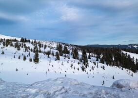 View of the mountains from the Timberline Plateau. Oregon. The vicinity of Mount Hood photo