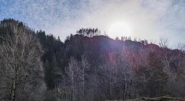 puesta de sol en el montañas cerca multnomah caídas en Oregón en el Estados Unidos foto