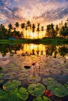 rojo loto flor y silueta Coco palma arboles a amanecer en nakorn si tammarat, tailandia foto