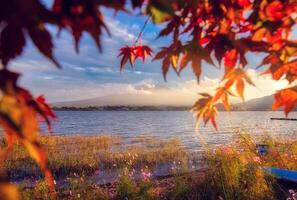 Landscape image of Mt. Fuji over Lake Kawaguchiko with autumn foliage at sunrise in Fujikawaguchiko, Japan. photo