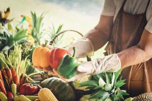 Farmer standing in the farm and selecting vegetables for sale. Selective focus photo