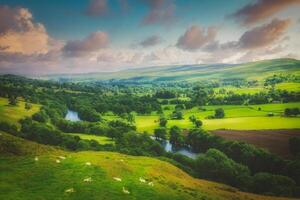 Meandering River making its way through lush green rural farmland in the warm early sunset. photo