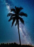 Landscape with Milky way galaxy. Night sky with stars and silhouette coconut palm tree on the mountain. Long exposure photograph. photo