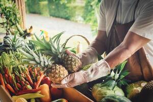 Farmer standing in the farm and selecting vegetables for sale. Selective focus photo