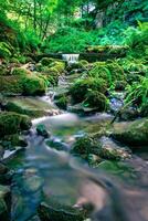 Forest stream running over mossy rocks. photo