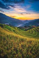 arroz campos en aterrazado con de madera pabellón a puesta de sol en mu cang Chai, yenbai, Vietnam. foto