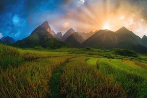 arroz campos en aterrazado con montar fansipan antecedentes a puesta de sol en lao cai, del Norte Vietnam. fansipan es un montaña en Vietnam, el más alto en Indochina. foto