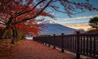 monte. fuji terminado lago kawaguchiko con otoño follaje a amanecer en fujikawaguchiko, Japón. foto