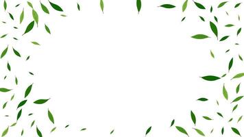 Fresh flying green leaves elements decoration frame nature organic spring time vector