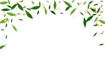 Green floating leaves fresh and gold confetti border. Foliage Green nature concept background vector