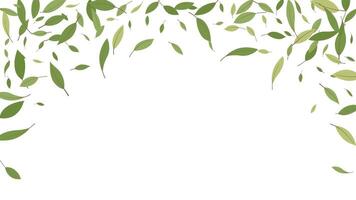 Banner, background, backdrop green leaves falling decoretion ecology concept vector