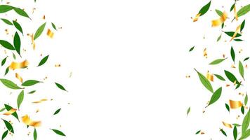 Summer time creative banner frame with green leaves foliage and gold confetti vector