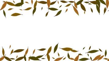 Frame background autumn seasonal with leaf orange and brown color flying isolated element vector
