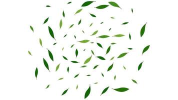 green leaf explosion element design nature spring, fresh ecology organic decoration vector