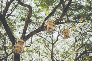 un antiguo estilo linterna hecho de bambú pegado con papel es colgado en un árbol. foto