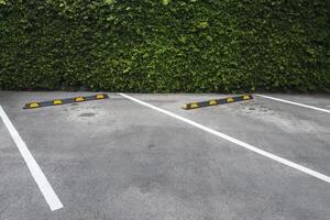 Spaces, outdoor car park spaces and green wall of trees. photo
