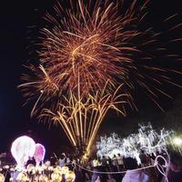 The colorful display of fireworks celebrates the fun and happiness of the night. photo