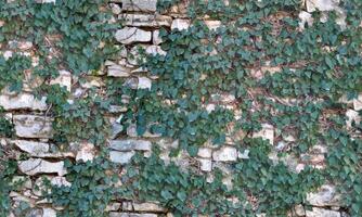 Stone wall texture block rustic stone old background texture photo