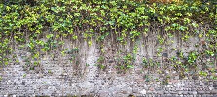 Stone wall texture block rustic stone old background texture photo