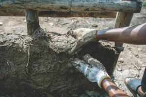 Using wet soil mixed with rice straw to cover with bamboo frames to make earth walls. making walls of houses with earth photo