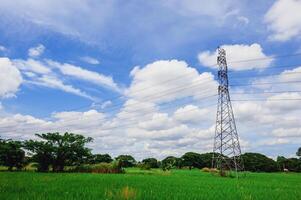 Landscape of green rice fields, clear sky with high voltage electric poles. photo