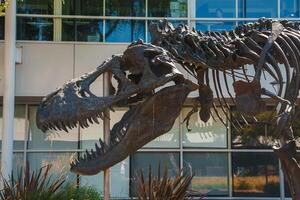 Dynamic Tyrannosaurus rex skeleton display near modern building and greenery photo