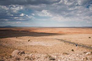 Arizona Desert Landscape with Long Road and Mountain Silhouette photo