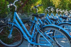 Neatly Aligned Blue Bicycles with Front Baskets in Green Urban Setting photo