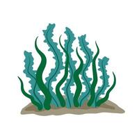 Algae on seabed. Underwater scenery. Plants and seaweed with long leaves. Aquarium Icon isolated on white background. Element of the sea and tropical water vector