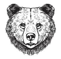 Cute animal bear face hand drawn sketch in doodle style illustration vector