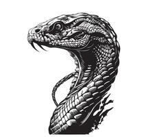 Snake portrait sketch hand drawn in doodle style illustration vector