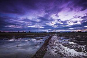 amplio arroz campos y noche cielo después puesta de sol con vistoso nubes foto