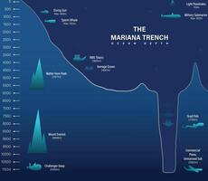 Mariana trench sea illustration, infographics or analysis, depth of ocean vector