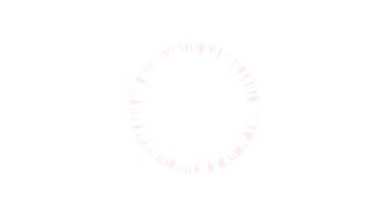 a picture of a flower that is called a star png